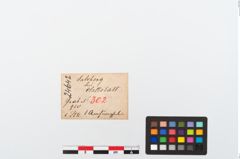 Etikett zu Bronzeanhänger (NHMW-PRAE-024642)